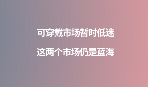 可穿戴市場暫時低迷 這兩個市場仍是藍(lán)海