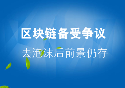 區(qū)塊鏈技術(shù)備受爭議 去泡沫后前景仍存