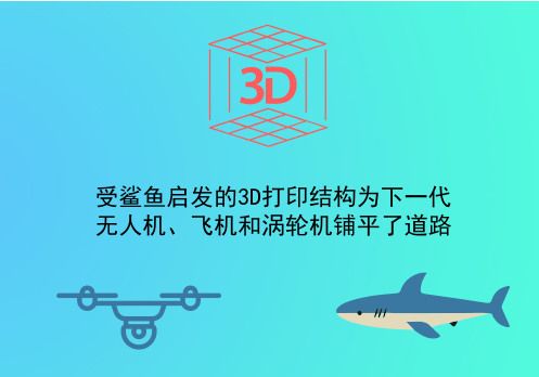 受鯊魚啟發(fā)的3D打印結(jié)構(gòu)為下一代無人機(jī)、飛機(jī)和渦輪機(jī)鋪平了道