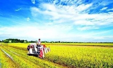 今年中國大農(nóng)業(yè)要做這幾件大事兒！